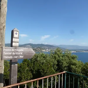 Vue Panoramique Extraordinaire Appartement